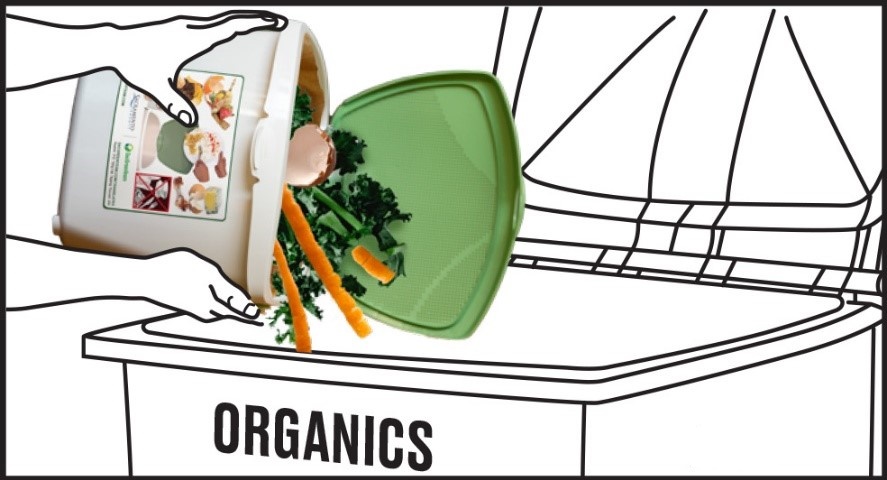 FREQUENTLY empty kitchen container into your property's Organics container to avoid odor and pests.